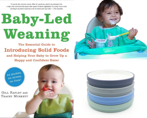 Baby Led Weaning — Survive the Mess cover photo collage