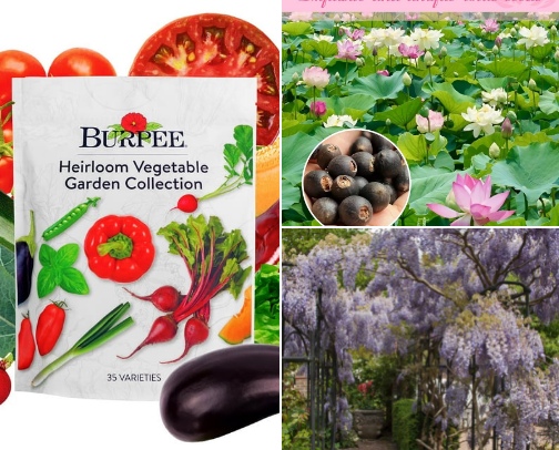 Gardening must haves cover photo collage
