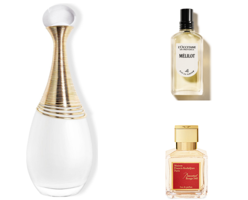 Perfumes that always get compliments cover photo collage