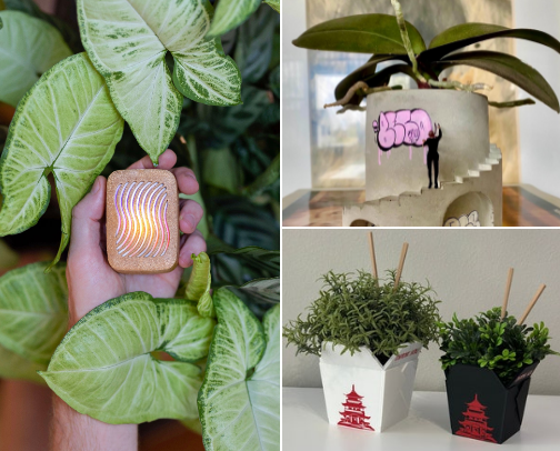 Leafy Luxuries 🌱 cover photo collage