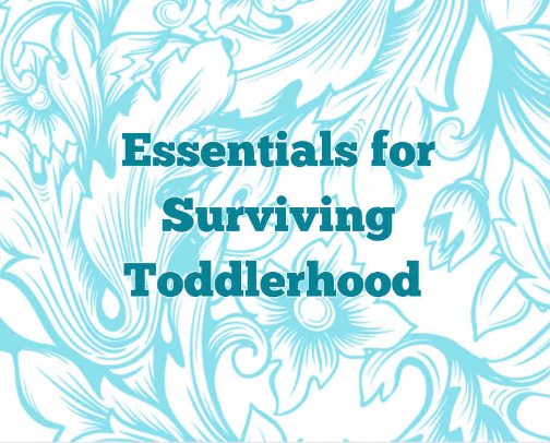 Essentials to Surviving Toddlerhood 👶🏼 cover photo collage