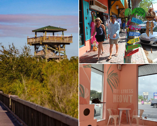 All My Favorite Things About Florida cover photo collage