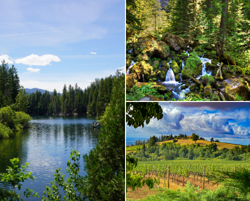 18 Can’t-Miss Southern Oregon Experiences (With 2 Bonus Oddballs) cover photo collage
