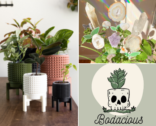 Small Business Celebration: Planty Edition cover photo collage