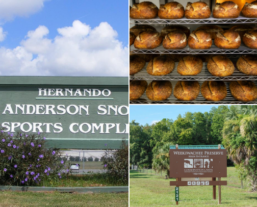 Local Things to do or try cover photo collage