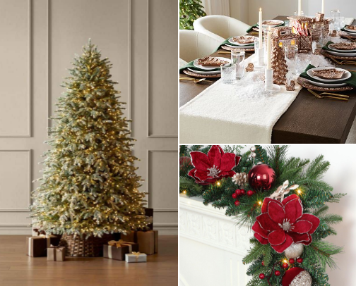 *Defrosting for Christmas* - Home edition cover photo collage