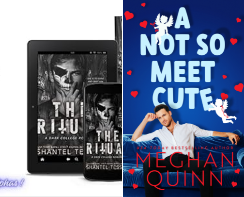 Spicy book recs 🌶️ cover photo collage