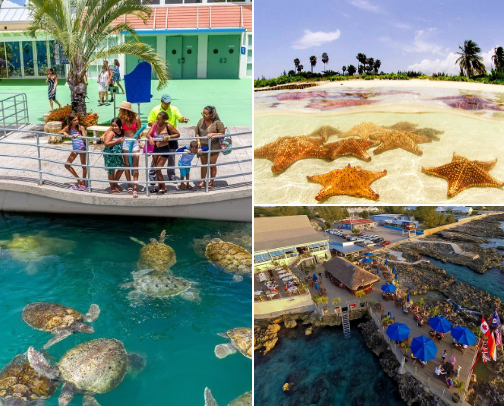 Grand Cayman MUSTS—do, eat, stay, and pack! cover photo collage