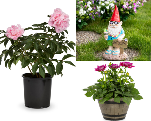 Landscape your yard cover photo collage