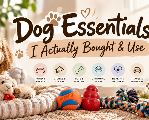 🐶 Dog Essentials I Actually Bought & Use cover photo collage