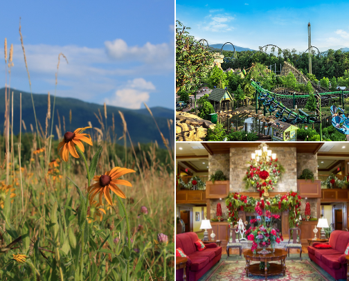 The Great Smoky Mountains cover photo collage