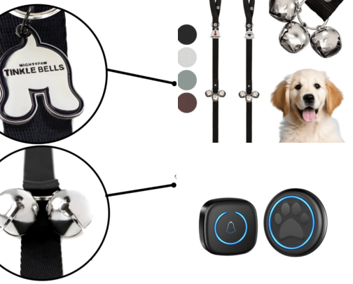 How I Potty Trained My Stubborn Puppy Without Losing My Sanity cover photo collage