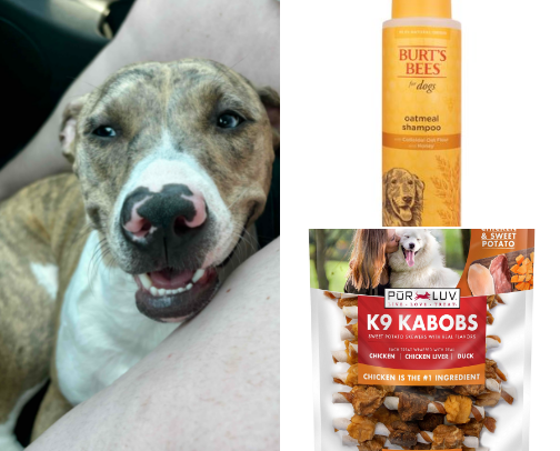 dog mom recommended cover photo collage