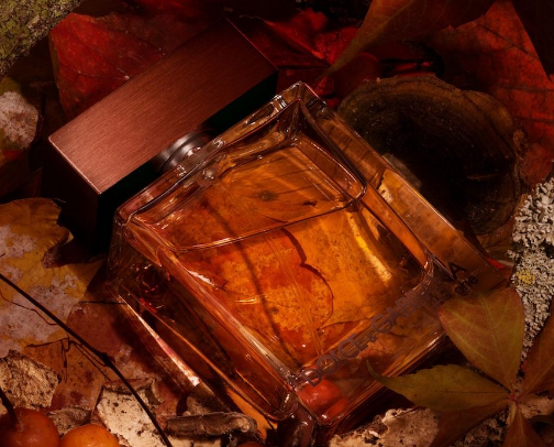 Top 10 Fall Fragrance Must-Haves 🍁☕️ cover photo collage