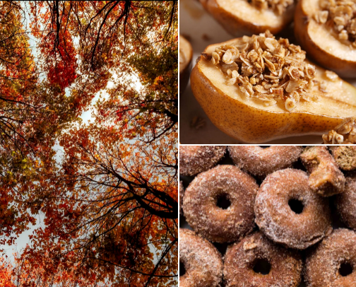 Autumn Sweet Treats  🍁☕️ cover photo collage
