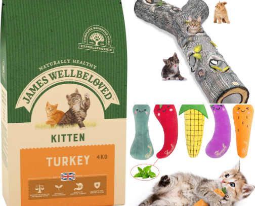 Cat Essentials: Must-Haves for Happy, Healthy Cats 🐾 cover photo collage