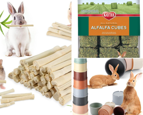 Pet bunny items cover photo collage