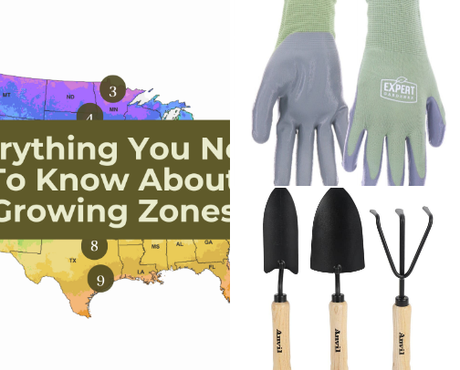 Root Awakening: Pots, Dirt, and a Hoe cover photo collage