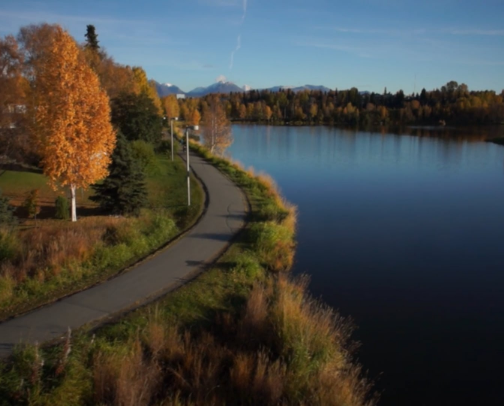 Local faves and must see places in Anchorage, AK 🏔️🫎 cover photo collage