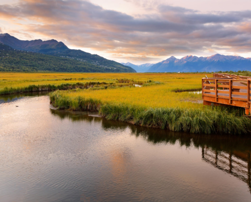 Local faves and must see places in Anchorage, AK 🏔️🫎 cover photo collage