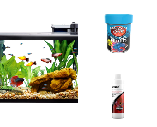 The Perfect Betta Fish Setup cover photo collage