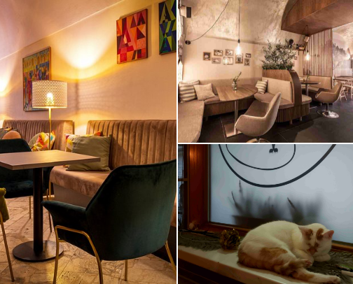 A local’s café (and more) picks across Slovakia 🇸🇰 cover photo collage