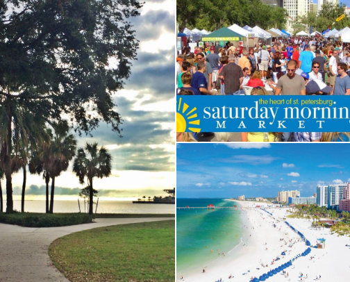 Must-do’s: St. Petersburg, FL🦚 cover photo collage