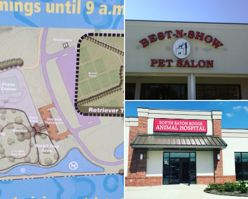 Visit Baton Rouge: Top Places to Go! cover photo collage