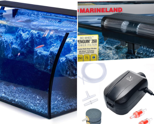 Fish Keeping Essentials | Everything You Need to Care for Your Fish cover photo collage