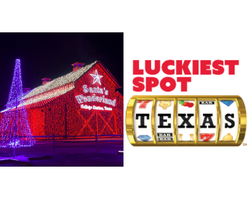 Explore Houston like a local! Discover my top picks for food, fun, and unforgettable experiences around the city. cover photo collage