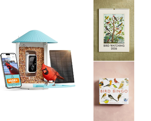 Best Gifts for Bird Lovers cover photo collage