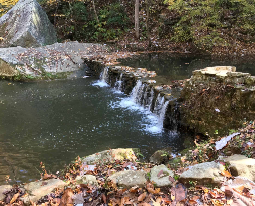 My top Cullman recs cover photo collage