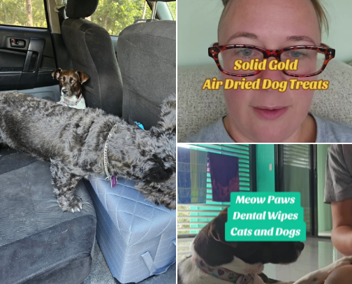 Dog and Cat Item Recommendations cover photo collage