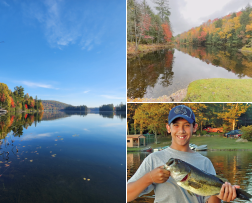 Things to do in Otter Lake, Quebec 🇨🇦🎣 cover photo collage