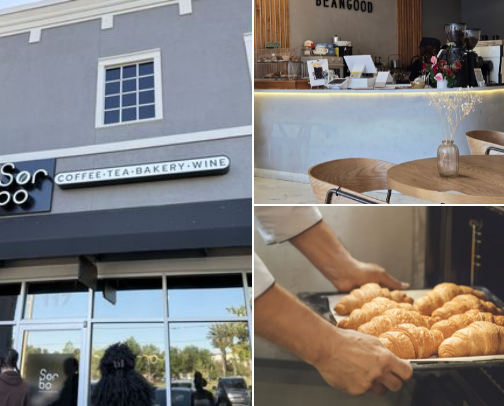 Greater Tampa Bay cafe recs !! cover photo collage