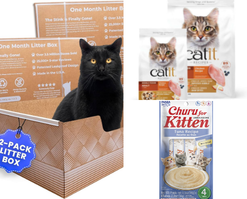 Cat essentials cover photo collage