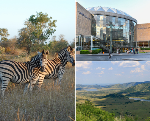 Explore South Africa (You really need to go) | What to eat and where to go cover photo collage