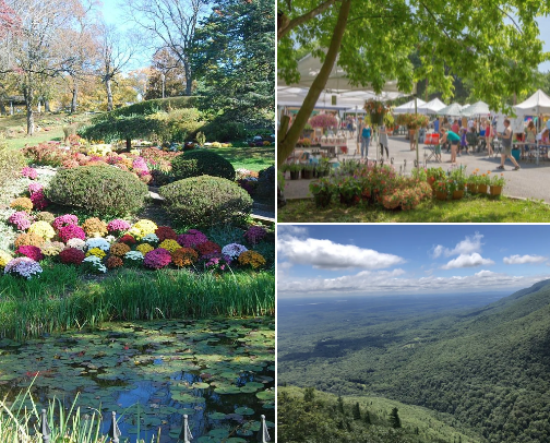 Beautiful spots to visit during your trip to saugerties cover photo collage