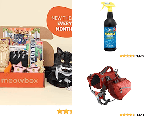 Animal Wellness and Necessities cover photo collage