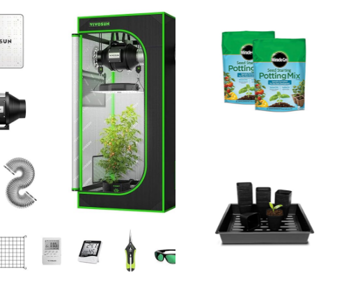 From Seed to Harvest - Vegetable Growing & Lawn Care Essentials cover photo collage