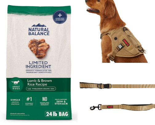 Recommendations for Dogs cover photo collage