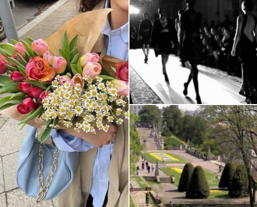 All Things Spring🌷🌻 cover photo collage