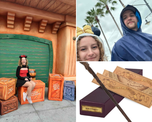 Theme Park Survival Guide cover photo collage