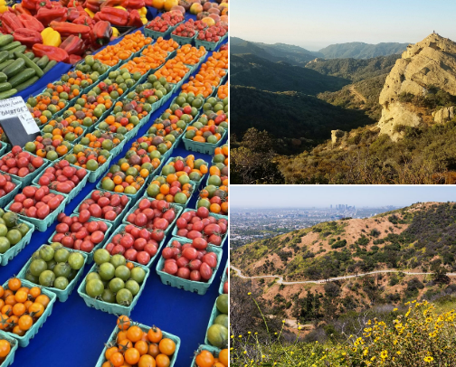 Local LA Activites cover photo collage