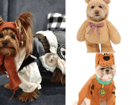 Halloween cover photo collage