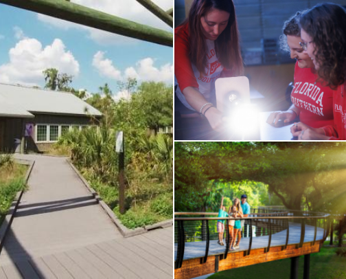 Lakeland Day Trip Guide: Best Things to Do, Eat & See in Central Florida's Swan City cover photo collage