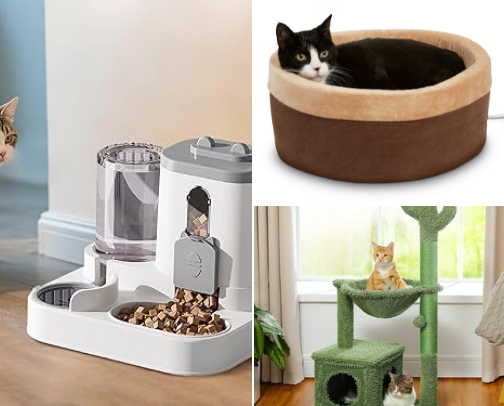 Cali’s Cat Care Must-Haves cover photo collage