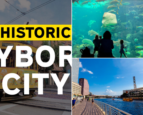 Things You MUST Do in Tampa, Florida cover photo collage