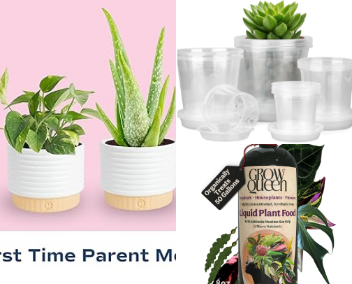 green thumb? you bet! cover photo collage