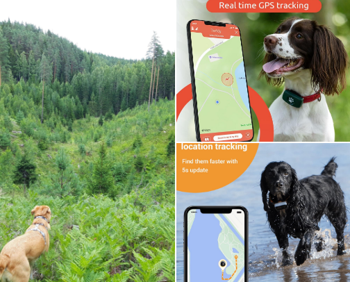 10 GPS trackers for dogs who like to explore (and escape!) cover photo collage